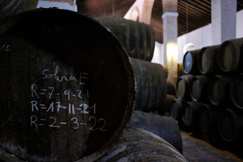 Amontillado Don Paco - 40+ Years Old